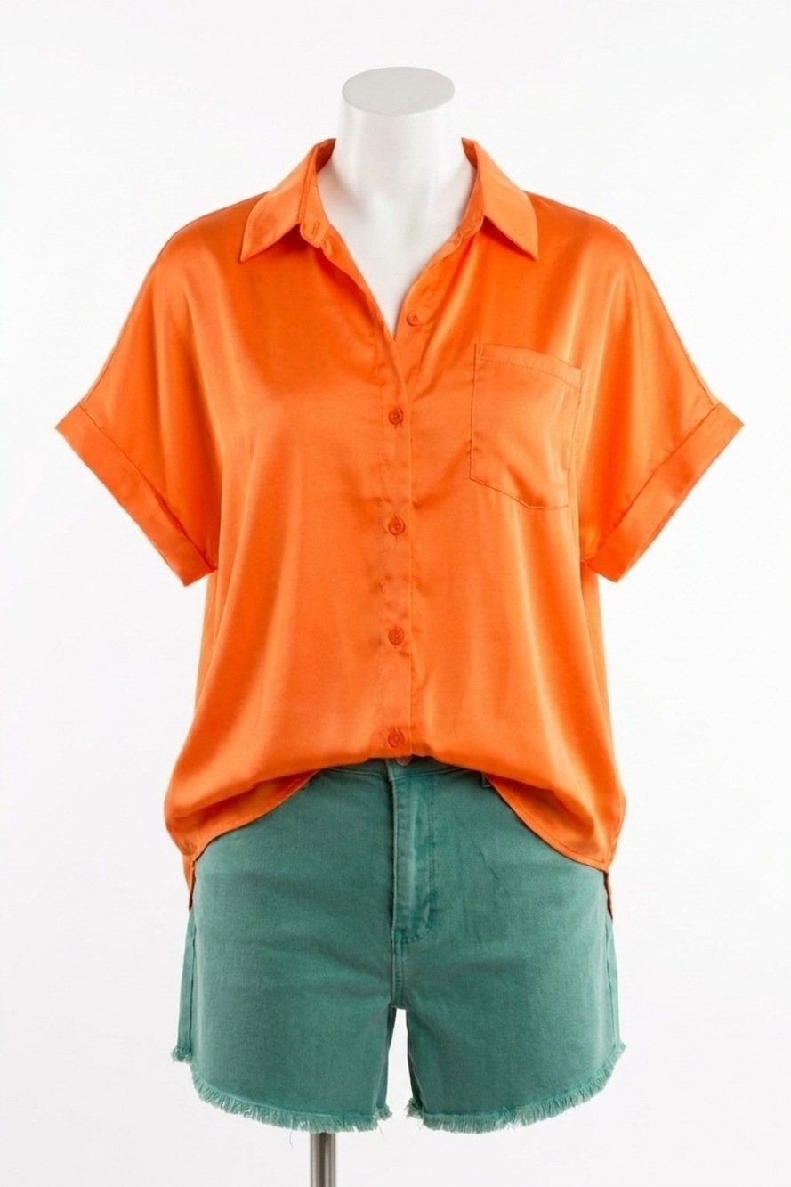 NEW JODIFL never have i ever button down blouse in melon